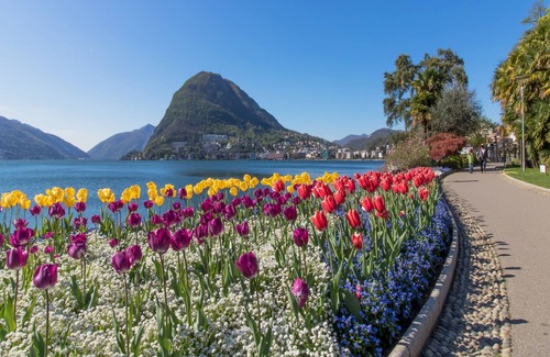Lugano City-Centre Appartement | Lugano Motta, Lugano, Suisse