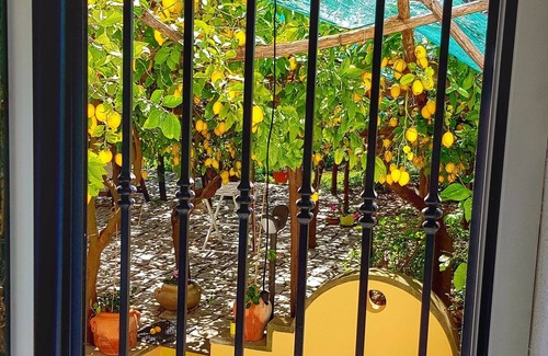 Minori Villa | Limoneto di Lulù, des vacances parmi les citrons!