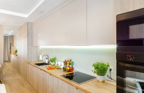 Baluty Appartement | Lumina deluxe apart with balcony