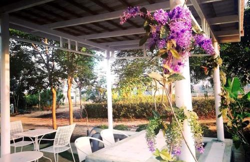 Pong Ta Long Maison | Luna Rose ลาลูน่าวินเทจโฮมเขาใหญ่