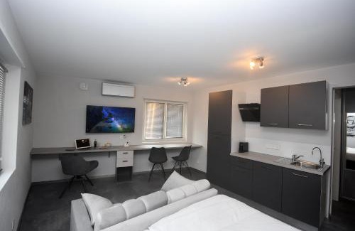 Saint-Louis Appartement | LUNAR, proche frontière Basel, Free parking