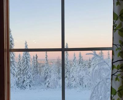 Syote Appartement | LuppoSyöte