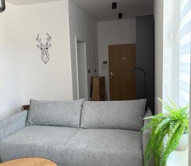 Trencin Appartement | LUX 3 bedroom apartman