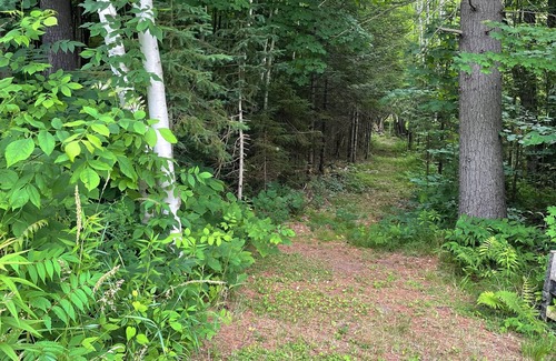 Norland Cottage | Lux 6 BDR/4 WR waterfront home for 14-private bay on exclusive lake 90 mins away