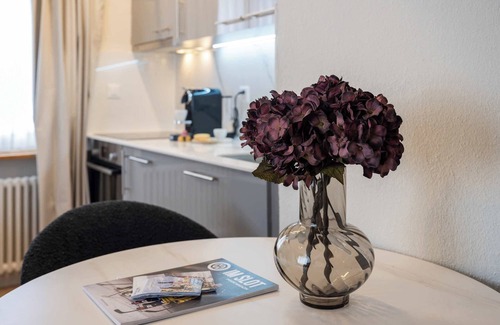 Davos Appartement | Luxe Davos Studio, Central, Walk to Lifts
