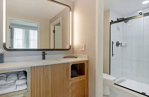 Downtown Tampa Hôtel | Luxe Living: Indulge in Downtown Tampa's Finest Accommodations! 4 Rooms