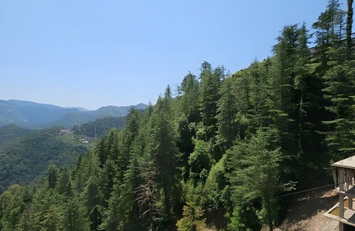 Shimla Appartement | Luxuries 1 BHK Appartment With Scenic Views