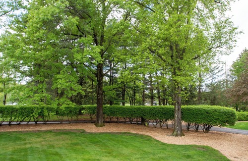 Andover Maison | Luxurious, fully renovated 5 bedroom home great indoor & outdoor living spaces