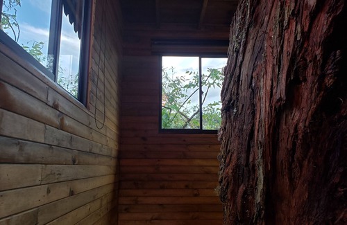 Rionegro Maison | Luxurious Tree House in a Rustic, Secluded, and Serene Finca