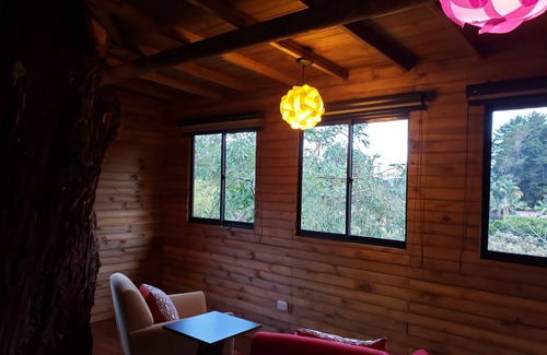 Rionegro Maison | Luxurious Tree House in a Rustic, Secluded, and Serene Finca