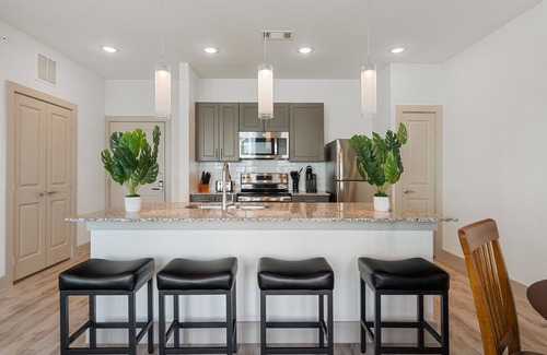 Stony Ridge North Appartement | Luxury 1BD/1BA Near Airport 8683