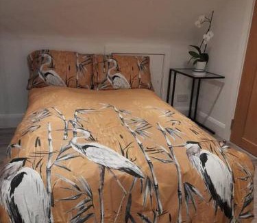 Burrow Maison | Luxury 300yr old Irish thatch cottage close to sea