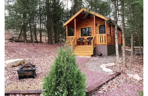 Grier City-Park Crest Maison | Luxury Cabin at Historic Lakewood Park w/ Linens - A