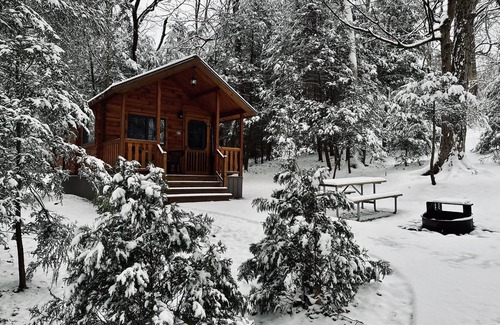 Grier City-Park Crest Cabine | Luxury Cabin - Located at Lakewood Park Campground Firepit/Fireplace/Private Bathroom/Lake access