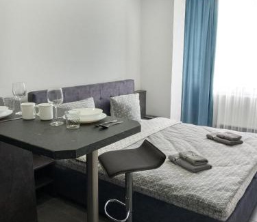 Uzhhorod Appartement | Luxury Central Apartment