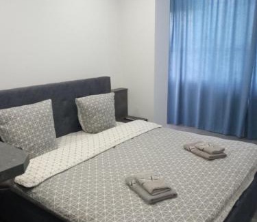 Uzhhorod Appartement | Luxury Central Apartment