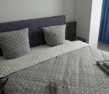 Uzhhorod Appartement | Luxury Central Apartment