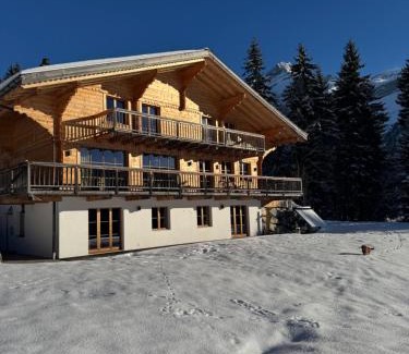 Ormont-Dessus Chalet De Ski | Luxury chalet in Les Diablerets Villars ski area