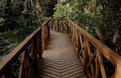Teakettle Village Station Balnéaire | Luxury Eco Jungle View Cabana