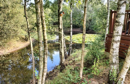 Norwich Cabine | Luxury Fishing Lodge - Fat Rascals Retreat