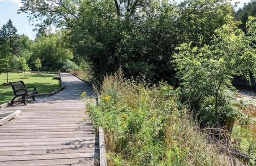 Elora Cabine | Luxury Glamping on Elora Sunflower Farm -Sunflower