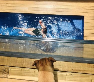Papamoa Beach Maison | Luxury Papamoa Beach House with Pool and Spa Pet Friendly
