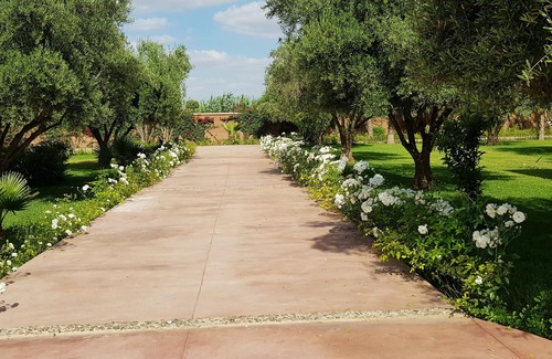 Chwiter Villa | Villa "la Koutoubia" Magnifique À Marrakech Avec Piscine Jacuzzi Et Hammam