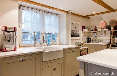 Horgen District Villa | Luxury stay in 250 year old wine farm house and gardens