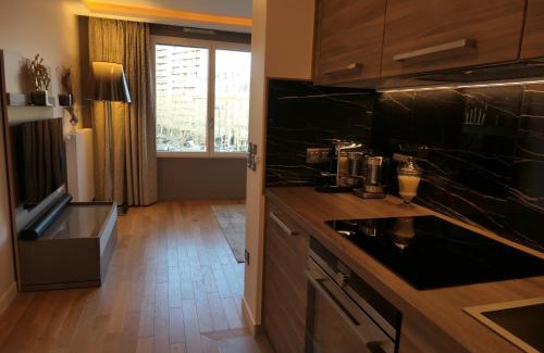 12th Arrondissement Appartement | Luxury Studio Daumesnil Wifi & Netflix