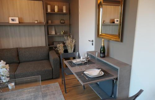 12th Arrondissement Appartement | Luxury Studio Daumesnil Wifi & Netflix
