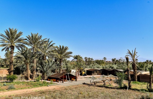 Tarmigt Autre | luxury tent in a Farm
