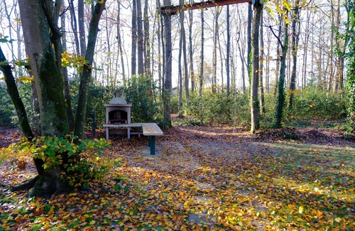 Pullay Cottage | Villa standing (400M/2) à l'orée de la forêt. Center Parcs à deux pas.