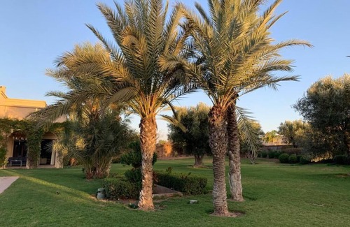 Assouel Maison | Villa Luxueuse à la palmeraie de Marrakech, une propriété de 2 hectares
