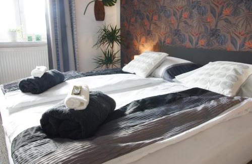 Nove Mesto na Morave Appartement | Luxusní Apartmán NMNM Family