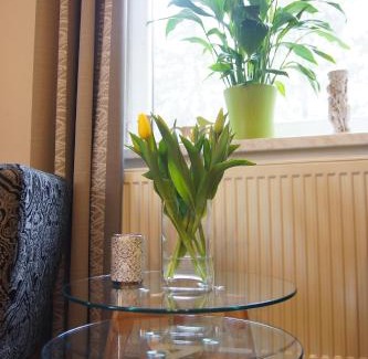 Nove Mesto na Morave Appartement | Luxusní Apartmán NMNM Family