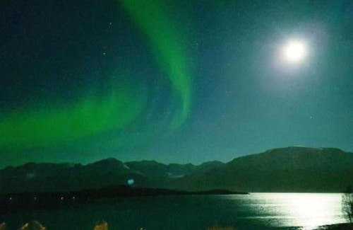 Lyngen Maison | Lyngen Brygge