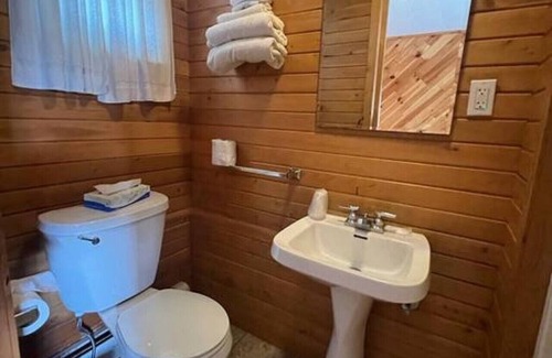 Onaway Cabine | Lyons in Onaway - 2 Full Beds - Room 11- Sleeps 4