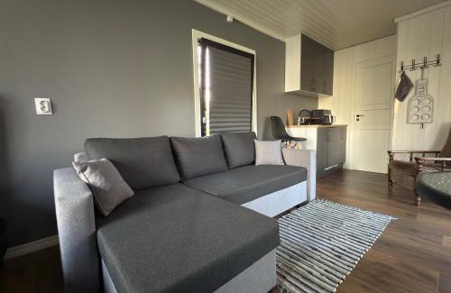 Korgessaare Appartement | Männikumereääre with sea view and private beach