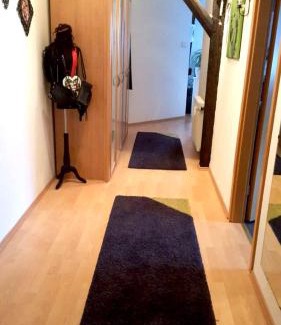 Lage Appartement | Möbliertes 2 Zimmer Apartment mit Wifi