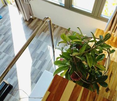 Ke Ga Maison | Mơ Homestay Kê Gà (Mer Bleue Homestay)