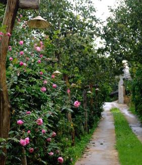 Da Lat Cabine | Mộc Trà Farm