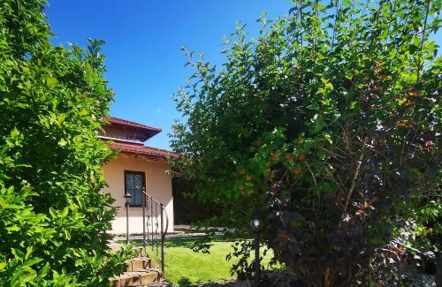 Pusztavacs Appartement | M3 Green Oasis Mogyoród