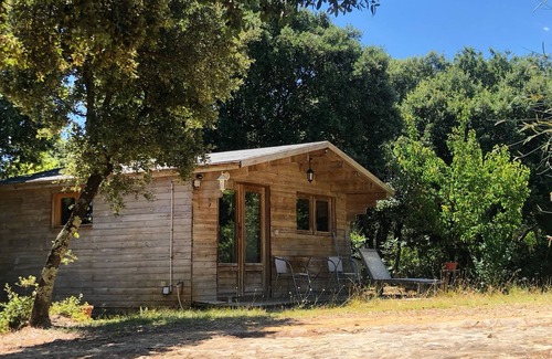 La Roque-sur-Ceze Chalet De Ski | Ma petite cabane à la roque sur ceze