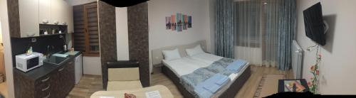 Velingrad Appartement | Madini apartment