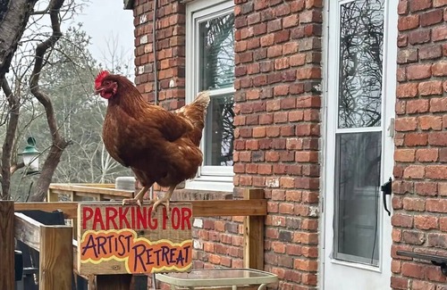 Coeymans Hollow Autre | Magic Forest Farm's Artist Retreat