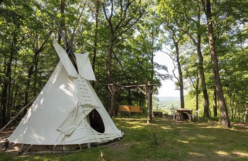 Coeymans Hollow Cabine | Magic Forest Farm Garden Tipi