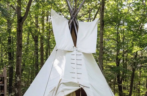 Coeymans Hollow Cabine | Magic Forest Farm Garden Tipi