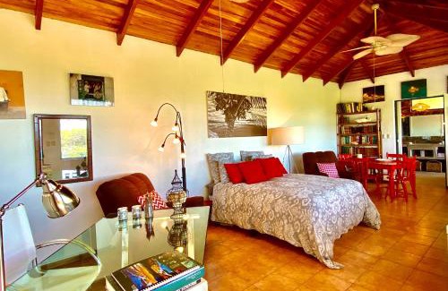 Garabito Appartement | Magic Mountain Views Studio