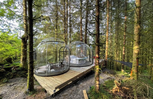 Asane Maison | Magical Forest Dome Getaway