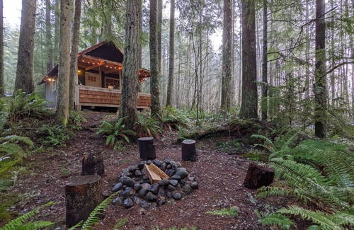 Ashford Cabine | TAHOMA PARK HOUSE: Sweet Creekside Retreat! Covered Porch+BBQ+Woodstove